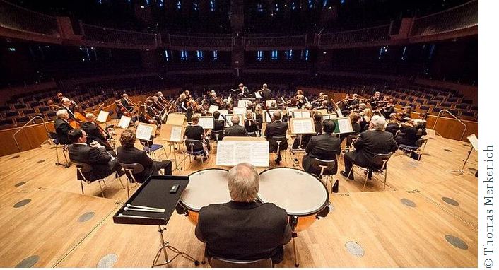 Orchestra view from the back