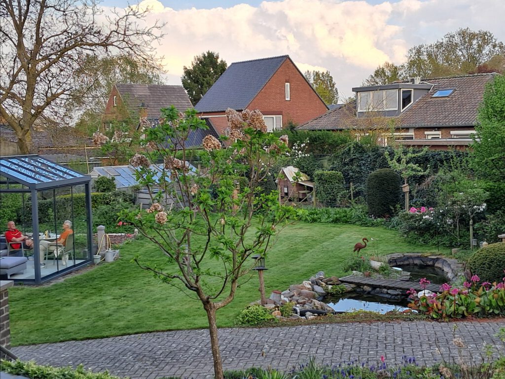 View of the garden at my lovely AirBnB