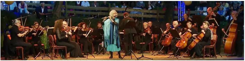 the goldfinch concert