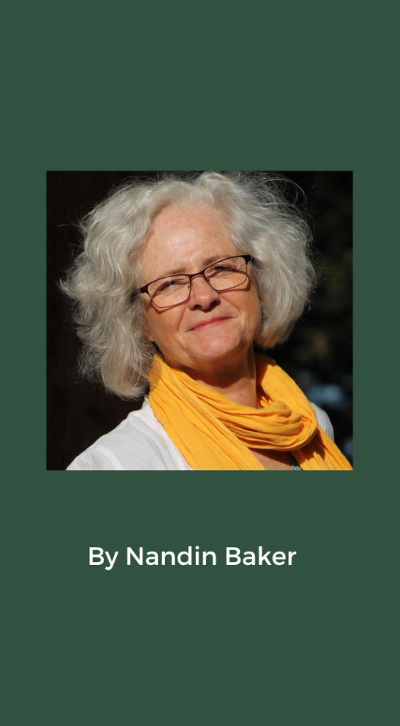 Meditative Music Making Masterclass